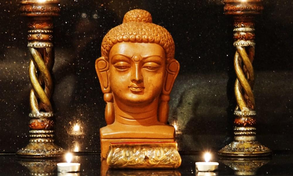 ホテル タージ チャンディーガル Chandīgarh エクステリア 写真 The Buddha